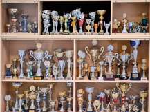 Obrázek ke škole Gymnázium Ostrov, příspěvková organizace