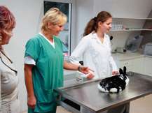 Obrázek ke škole Střední škola zemědělská a veterinární Lanškroun