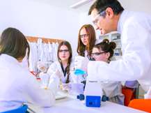 Obrázek ke škole Gymnázium FOSTRA International s. r. o.